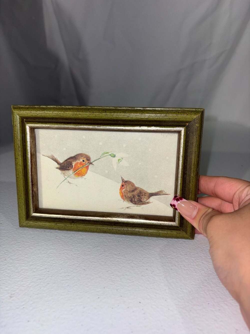 Vintage Framed Robin Watercolor Bird Art Print